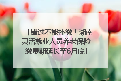 错过不能补缴！湖南灵活就业人员养老保险缴费期延长至6月底