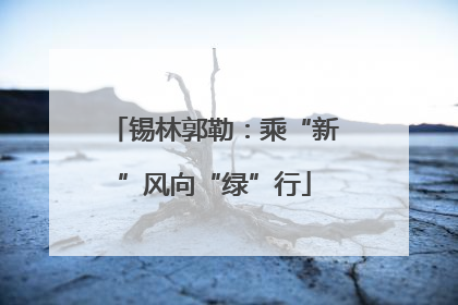 锡林郭勒：乘“新”风向“绿”行