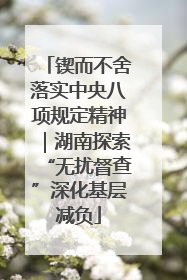 锲而不舍落实中央八项规定精神｜湖南探索“无扰督查”深化基层减负