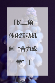 长三角一体化联动机制“合力成拳”