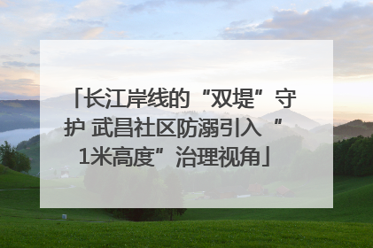 长江岸线的“双堤”守护 武昌社区防溺引入“1米高度”治理视角