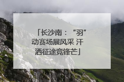 长沙南：“羽”动赛场展风采 汗洒征途竞锋芒