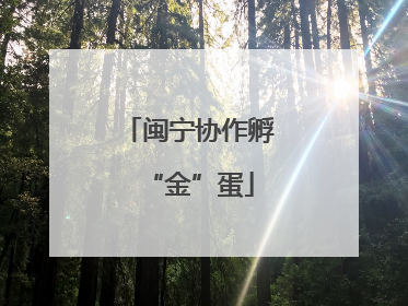 闽宁协作孵“金”蛋