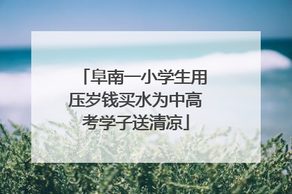 阜南一小学生用压岁钱买水为中高考学子送清凉