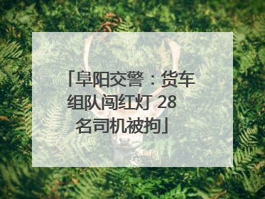 阜阳交警：货车组队闯红灯 28名司机被拘