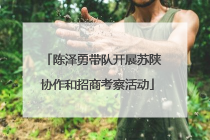 陈泽勇带队开展苏陕协作和招商考察活动