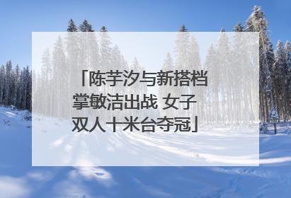 陈芋汐与新搭档掌敏洁出战 女子双人十米台夺冠