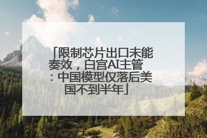 限制芯片出口未能奏效，白宫AI主管：中国模型仅落后美国不到半年