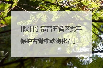 陕甘宁蒙晋五省区携手保护古脊椎动物化石