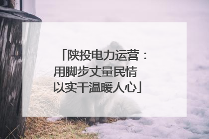 陕投电力运营：用脚步丈量民情 以实干温暖人心