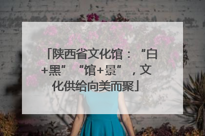 陕西省文化馆：“白+黑”“馆+景”，文化供给向美而聚