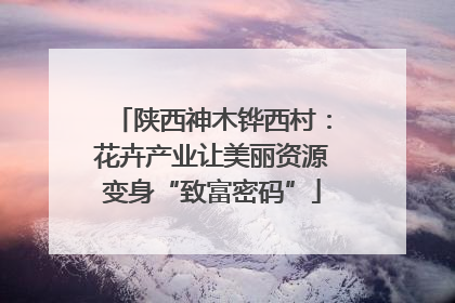 陕西神木铧西村：花卉产业让美丽资源变身“致富密码”