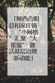 陕西合阳县和家庄镇：“小网格”汇聚“大能量” 激活基层治理新动能