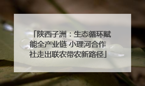 陕西子洲：生态循环赋能全产业链 小理河合作社走出联农带农新路径