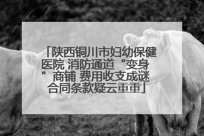 陕西铜川市妇幼保健医院 消防通道“变身”商铺 费用收支成谜 合同条款疑云重重