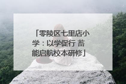 零陵区七里店小学：以学促行 蓄能启航校本研修