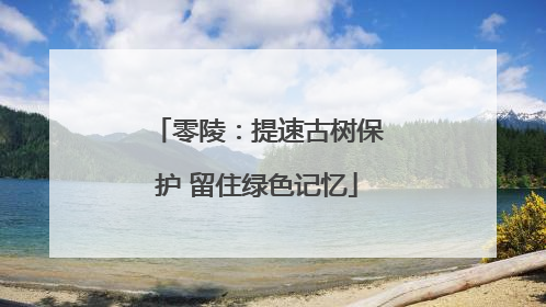 零陵：提速古树保护 留住绿色记忆