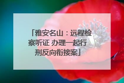 雅安名山：远程检察听证 办理一起行刑反向衔接案