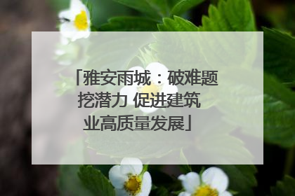 雅安雨城：破难题 挖潜力 促进建筑业高质量发展