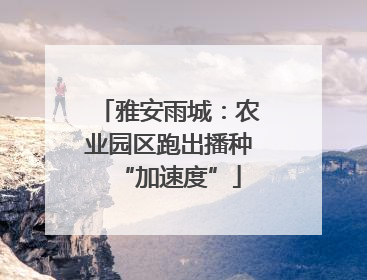 雅安雨城：农业园区跑出播种“加速度”