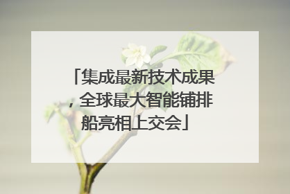 集成最新技术成果，全球最大智能铺排船亮相上交会