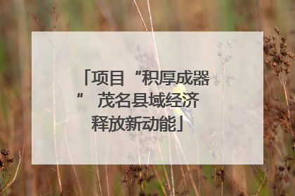 项目“积厚成器” 茂名县域经济释放新动能
