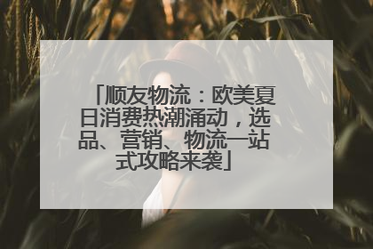 顺友物流：欧美夏日消费热潮涌动，选品、营销、物流一站式攻略来袭