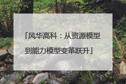 风华高科：从资源模型到能力模型变革跃升