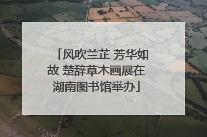 风吹兰芷 芳华如故 楚辞草木画展在湖南图书馆举办