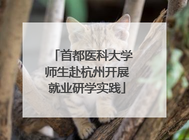 首都医科大学师生赴杭州开展就业研学实践
