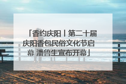 香约庆阳丨第二十届庆阳香包民俗文化节启幕 潘鲁生宣布开幕