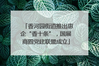 香河园街道推出惠企“香十条”，国展商圈党建联盟成立