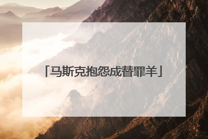 马斯克抱怨成替罪羊