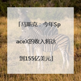 马斯克：今年SpaceX的收入将达到155亿美元