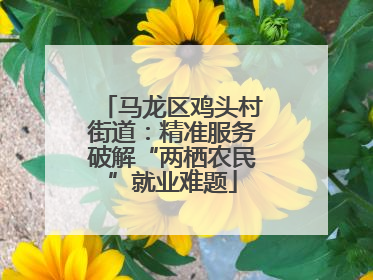 马龙区鸡头村街道：精准服务破解“两栖农民”就业难题