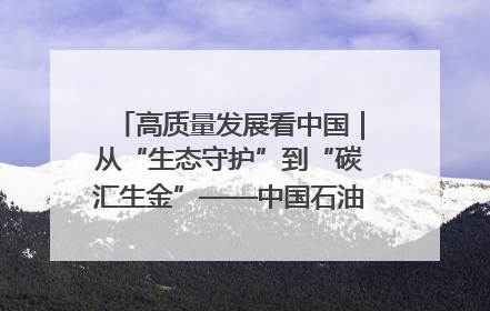 高质量发展看中国｜从“生态守护”到“碳汇生金”——中国石油大庆油田绿色蝶变