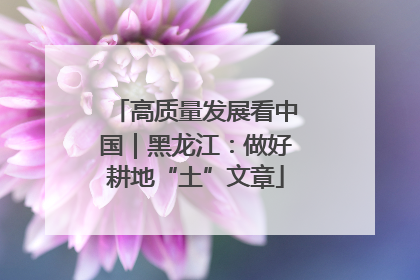 高质量发展看中国｜黑龙江：做好耕地“土”文章