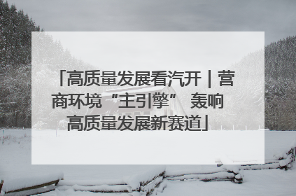高质量发展看汽开｜营商环境“主引擎” 轰响高质量发展新赛道