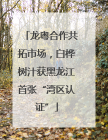 龙粤合作共拓市场，白桦树汁获黑龙江首张“湾区认证”