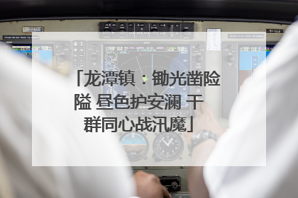 龙潭镇：锄光凿险隘 昼色护安澜 干群同心战汛魔