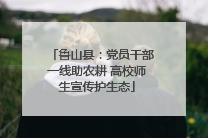 鲁山县：党员干部一线助农耕 高校师生宣传护生态