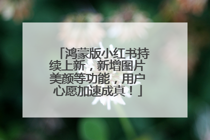 鸿蒙版小红书持续上新，新增图片美颜等功能，用户心愿加速成真！