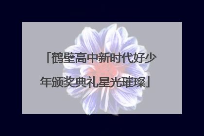 鹤壁高中新时代好少年颁奖典礼星光璀璨