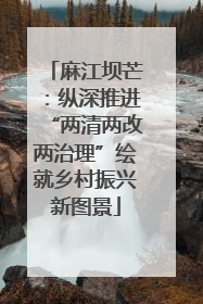 麻江坝芒：纵深推进“两清两改两治理”绘就乡村振兴新图景
