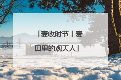 麦收时节丨麦田里的观天人