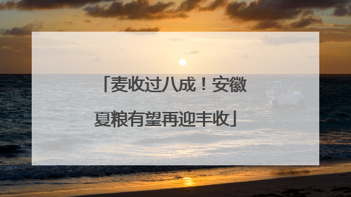 麦收过八成！安徽夏粮有望再迎丰收