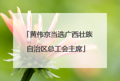 黄伟京当选广西壮族自治区总工会主席
