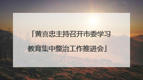 黄喜忠主持召开市委学习教育集中整治工作推进会