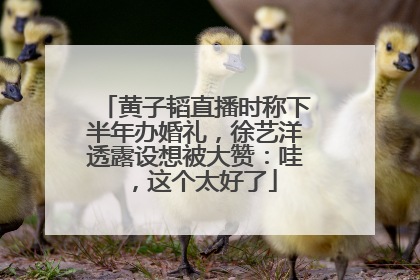 黄子韬直播时称下半年办婚礼，徐艺洋透露设想被大赞：哇，这个太好了