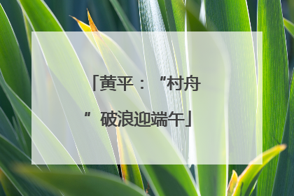 黄平：“村舟”破浪迎端午